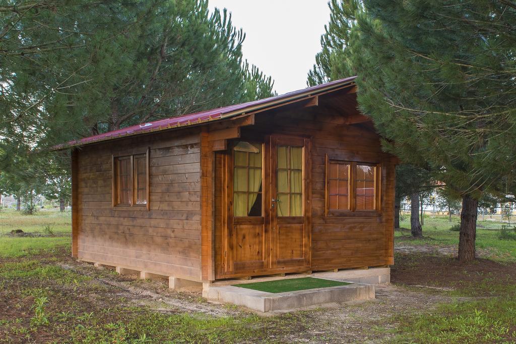 Monte Macario Alojamento Local Coruche Ngoại thất bức ảnh