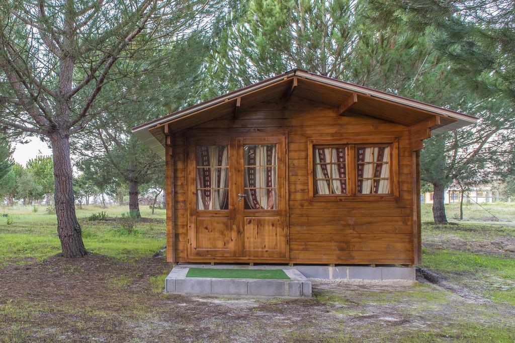 Monte Macario Alojamento Local Coruche Ngoại thất bức ảnh